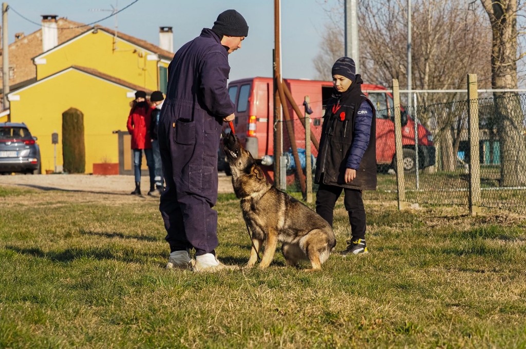 pensione per cani con addestratore